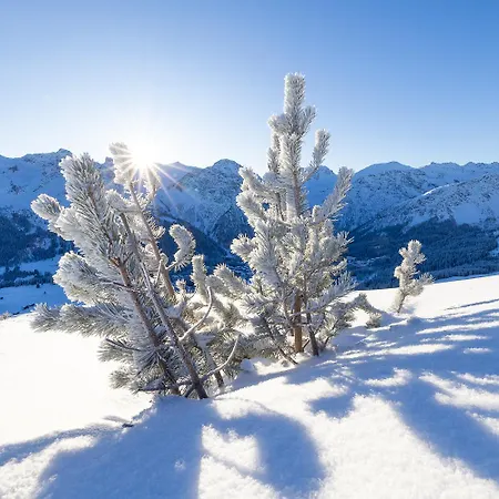 Belarosa & Wellness Hotell Arosa