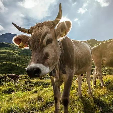 酒店 Belarosa & Wellness