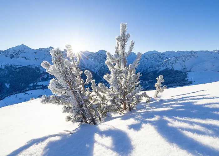 Belarosa & Wellness 酒店 阿罗萨